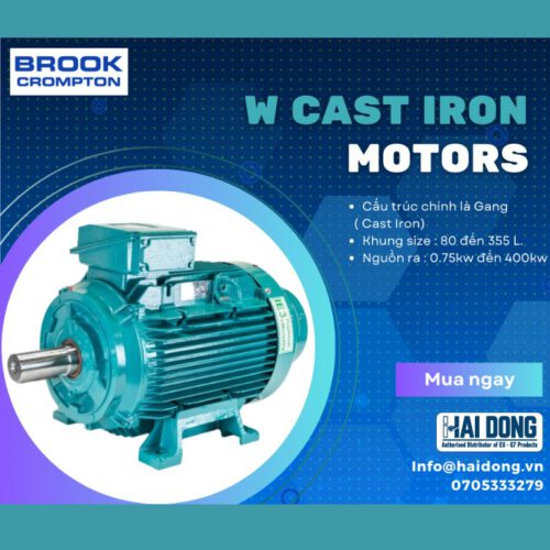 W Cast Iron Motors - Brook Crompton