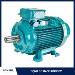 Động cơ gang dòng W